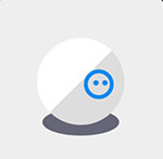 A white ball with a blue circle The answer is: Sphero
