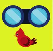 Icon Pop Word Answers Bird Watching