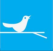 IcoMania Answers Twitter