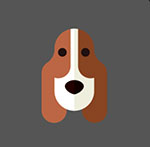 A brown and white dog The answer is: Hush Puppies