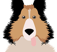 IcoMania Answers Lassie