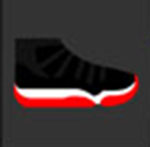 A black basketball shoe The answer is: Air Jordan