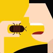 Icon Pop QuizFear Factor