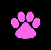 Icon Pop Quiz Answers Character Level 2 image 10