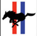 A horse running The answer is: Ford Mustang