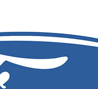 IcoMania Answers Ford