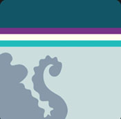 Icon Pop QuizSwampy