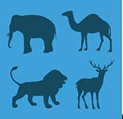 Icon Pop Word Answers Job Level 9 Zoologist