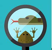 Icon Pop Word Answers Hobby Level 7 Herping