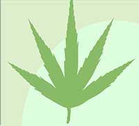 IcoMania Answers Weeds