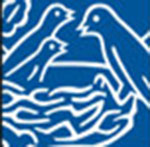 Blue birds in a nest The answer is: Nestle
