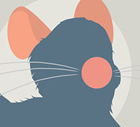 IcoMania Answers Ratatouille