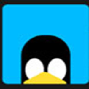 A Penguin .