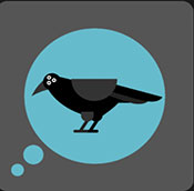 Icon Pop QuizBran Stark
