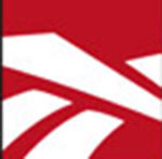 A bunch of white lines The answer is: Reebok