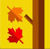 IcoMania Answers Canada