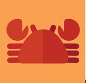 Icon Pop Word Answers Cancer