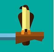 Icon Pop Word Answers Activity Level 2 Falconry