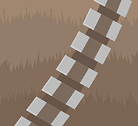 IcoMania Answers Chewbacca
