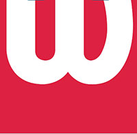 IcoMania Answers Wilson