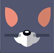 IcoMania Answers Tom