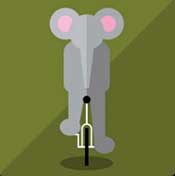Icon Pop QuizParadise