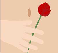 IcoMania Answers American Beauty