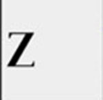 A black Z The answer is: Zara