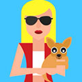 Icon Pop QuizChihuahua