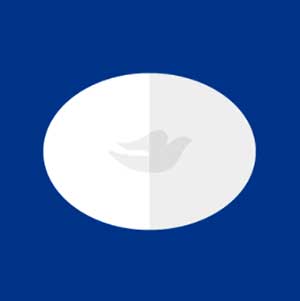 Icon Pop Brand Image 38