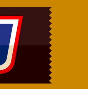 Icon Pop Brand Image 55