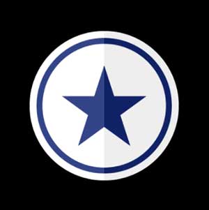 Icon Pop Brand Image 69