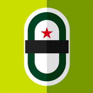 Icon Pop Brand Image 75
