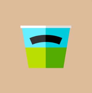 Icon Pop Brand Image 82