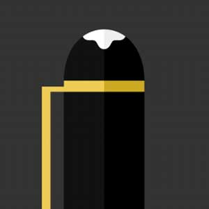 Icon Pop Brand Image 99