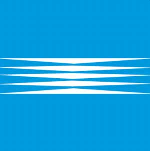 Icon Pop Brand Image 104