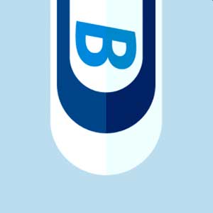 Icon Pop Brand Image 118