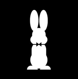 A white bunny in front of a black background