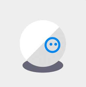 A white ball with a blue circle 