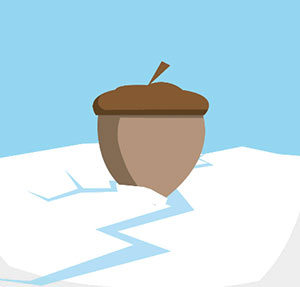 An acorn on the snow, cracked ice. 