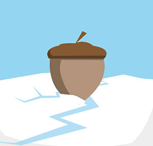 Icomania Image 18