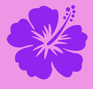 Icomania Image 93