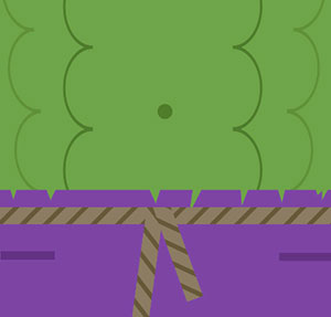 Icomania Image 233