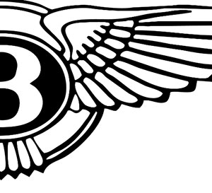 The side of a wing with a B in the middle