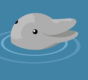 A dolphin in the ocean