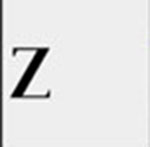 A black Z   The answer is: Zara