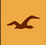 A brown bird   The answer is: Hollister 