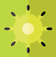Icon Pop Quiz Answers Fruits 3
