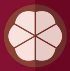 Icon Pop Quiz Answers Fruits 11
