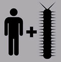 Icon Pop QuizHuman Centipede